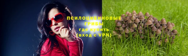 гидропоника Алексеевка