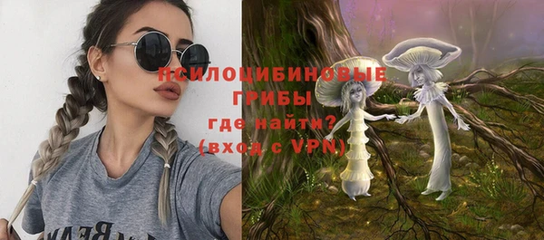 спиды Пересвет