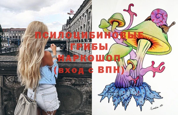 гидропоника Алексеевка