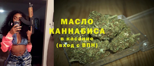 спиды Пересвет