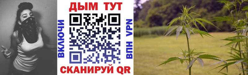 Конопля семена  Андреаполь 